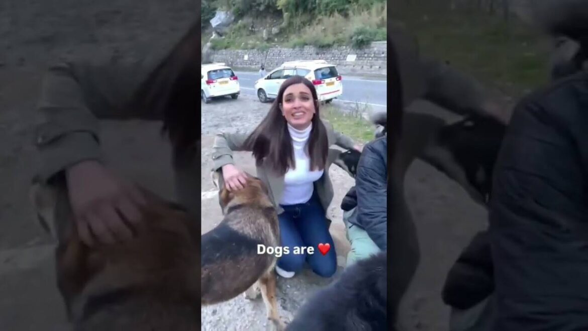 Diana Penty With Her Four-Legged Buddies