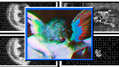 Inside the Online “Indie” Music Boom