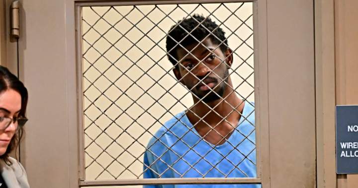 Lil Nas X released from jail after pleading not guilty to 4 felonies - National