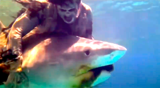 Lucio Fulci's 'Zombi 2' (1979) Takes on a Fight with a Real Shark