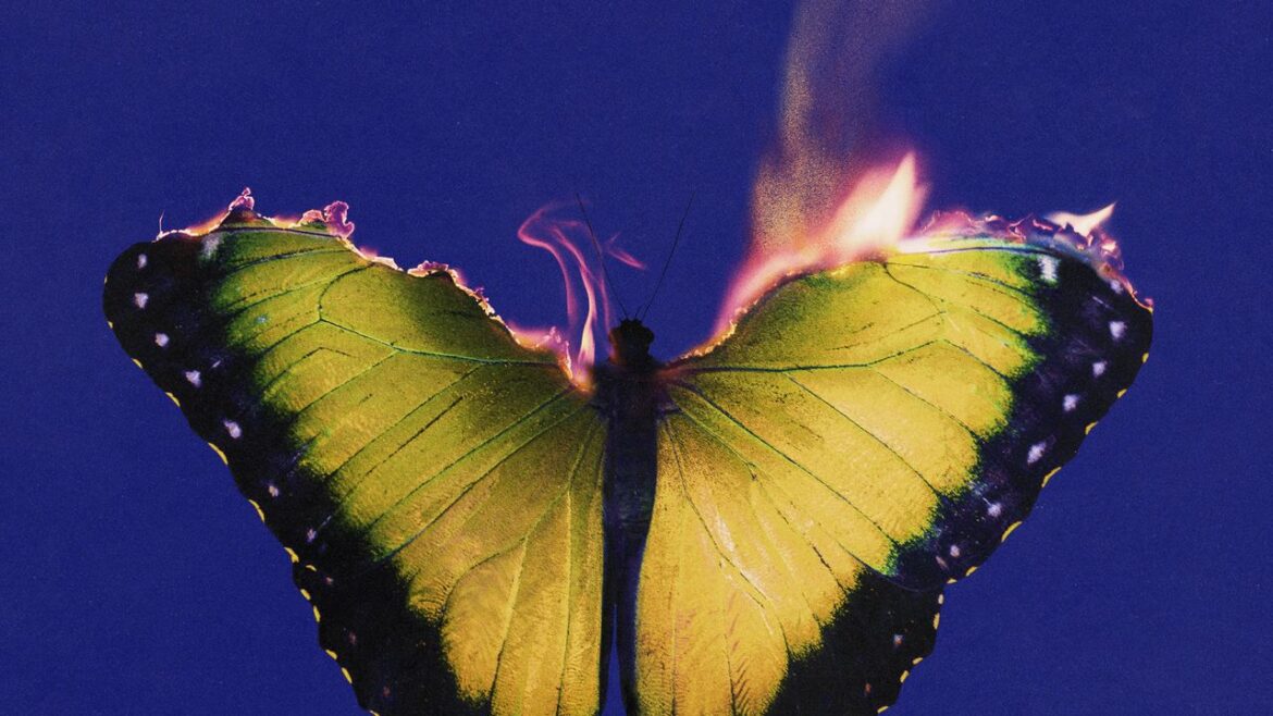 Maroon 5: Love Is Like Album Review