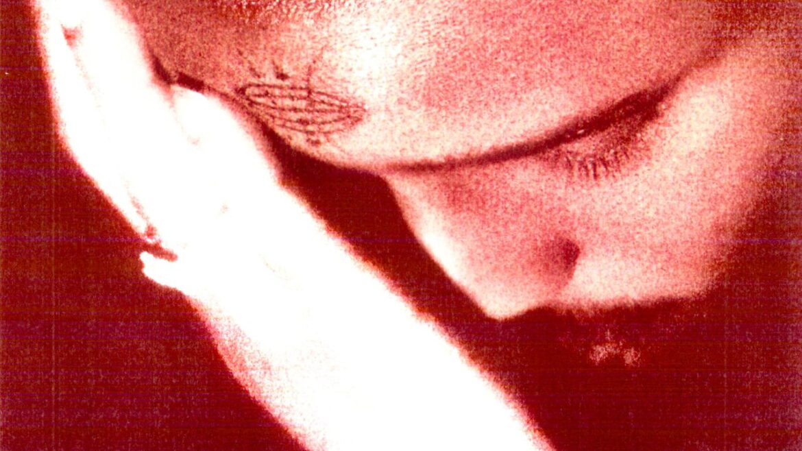 Nourished by Time: The Passionate Ones Album Review