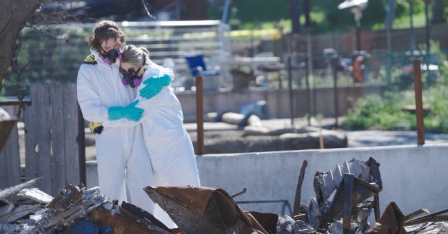 Ondi Timoner's Altadena Fire Short All the Walls Came Down