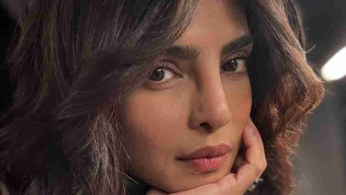 priyanka chopra instagram story