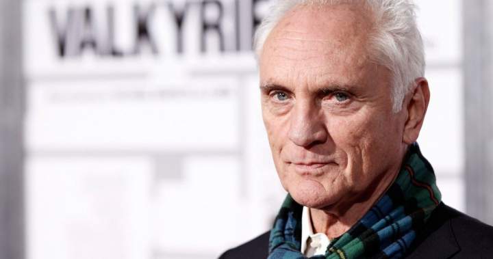 Terence Stamp, U.K. actor who played General Zod in early Superman films, dies at 87 - National
