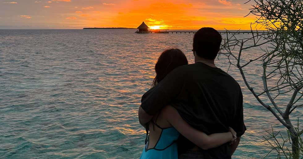 Nominations for The 70th Hyundai Filmfare Awards 2025 With Gujarat Tourism: Full List Out