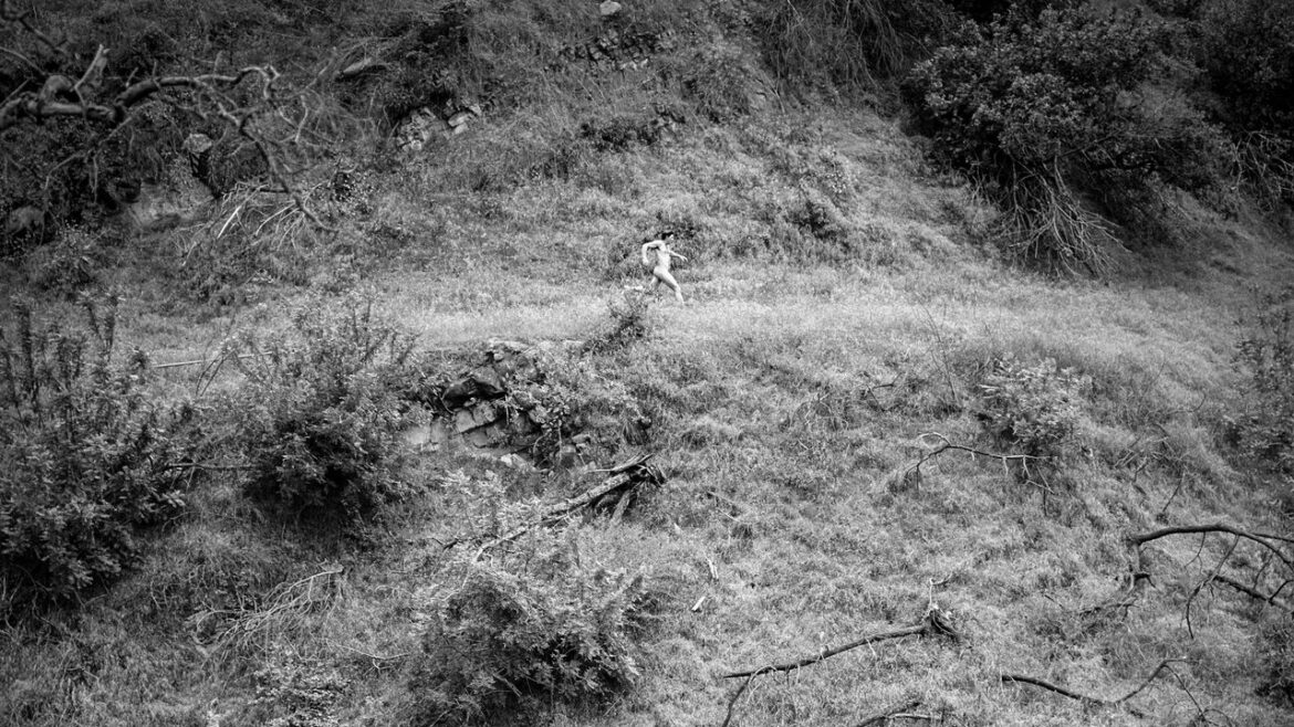 Anna Tivel: Animal Poem Album Review