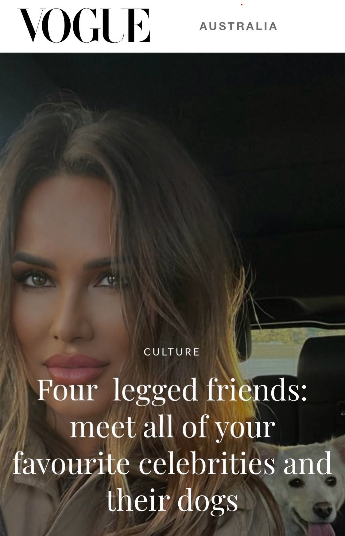 Celebrity Dog Lovers: Stars and Their Beloved Canine Companions