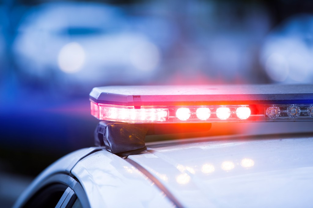 Colombian Musicians Were in Mexico