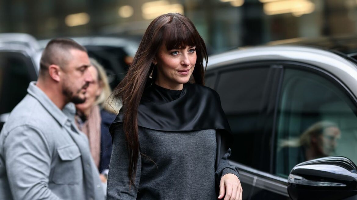 Dakota Johnson Took the Salon Bib and Made It Fashion