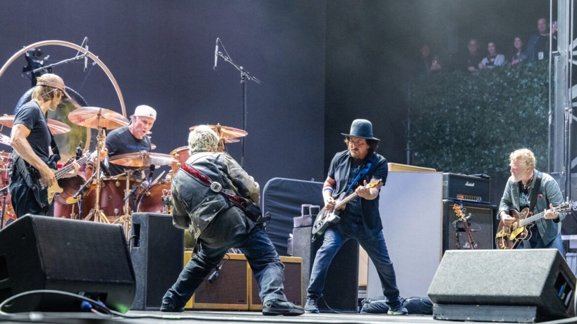 Eddie Vedder Covers Devo, Led Zeppelin, More at Ohana Festival: Watch