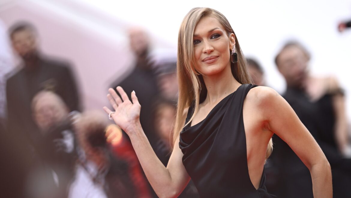 Her Lyme Disease Battle Explained & Updates – Hollywood Life