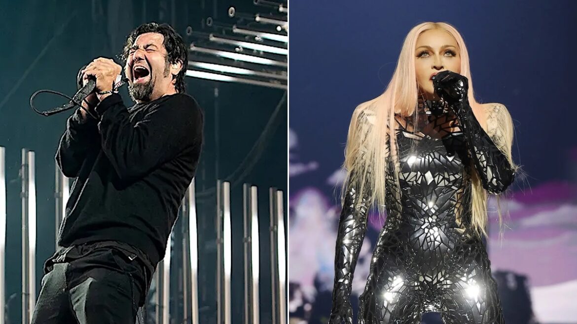It Was "Mind-Blowing" When Madonna Gave Deftones Her Approval