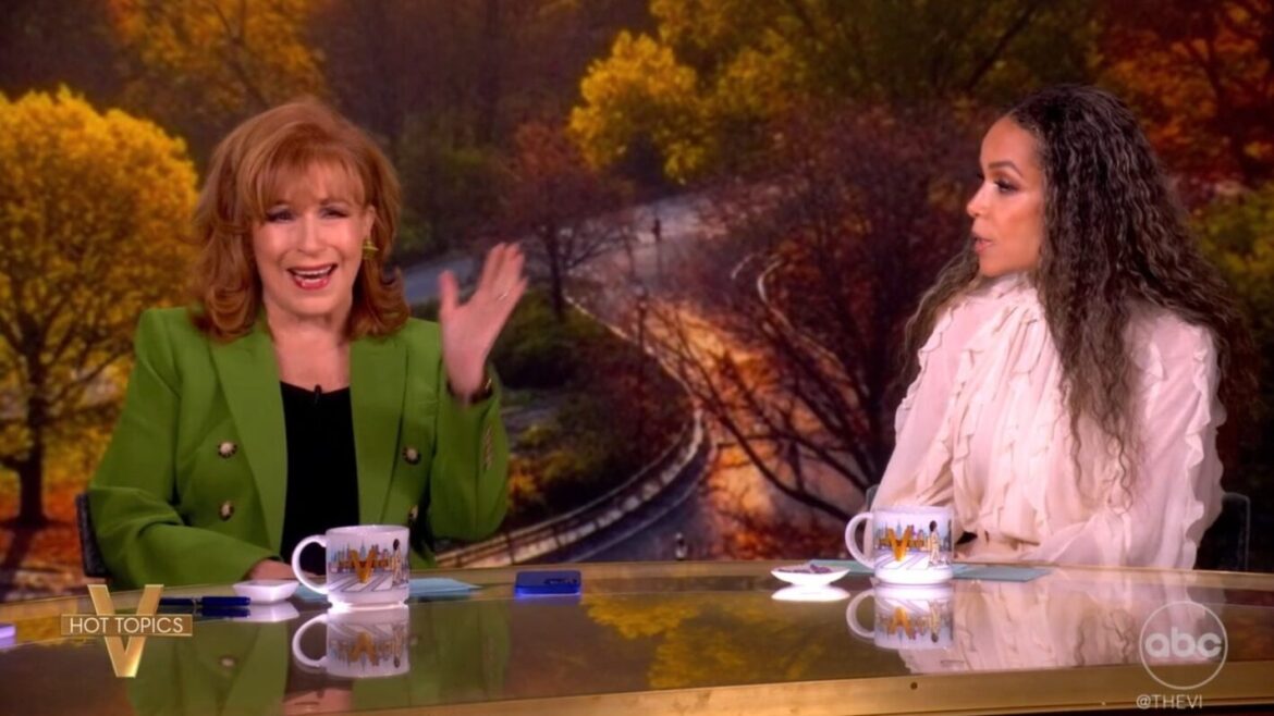 Joy Behar and Sunny Hostin on The View