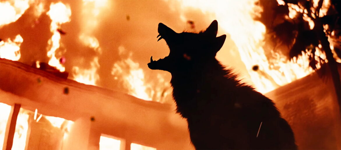 Justin Long & Kate Bosworth in Coyote Horror Film 'Coyotes' Trailer