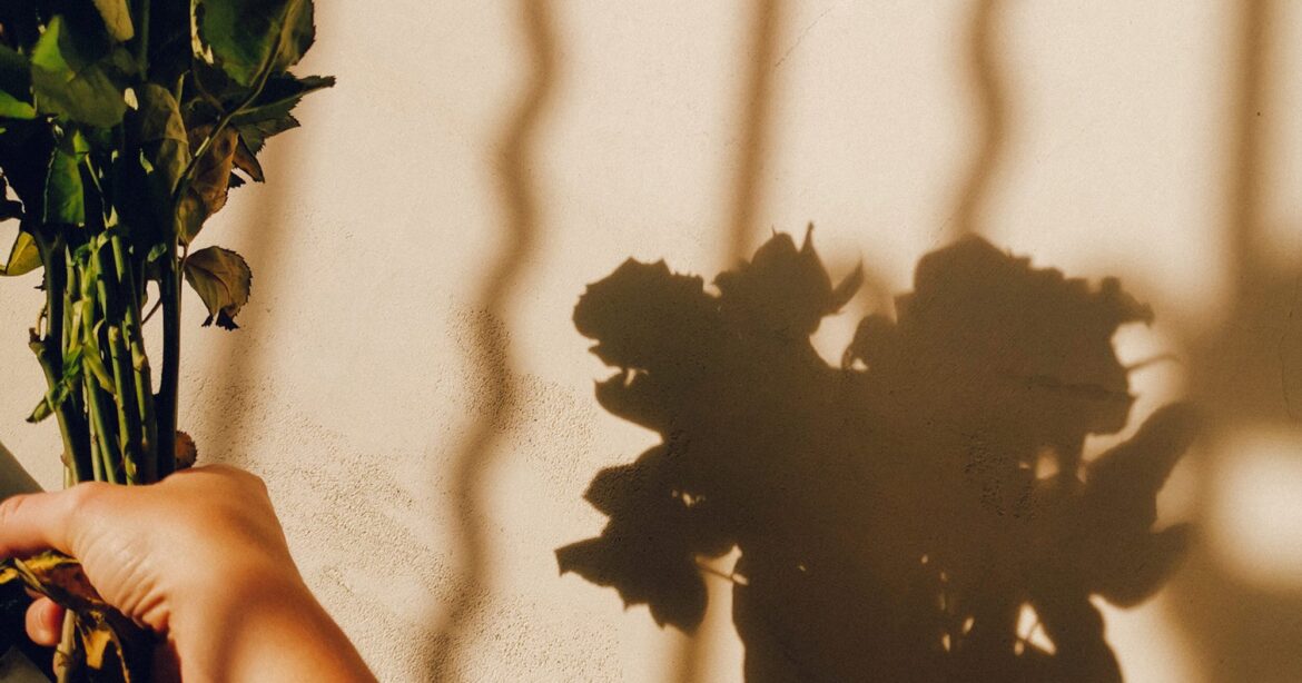 Let Go & Start Fresh: The Fall Equinox Is Here