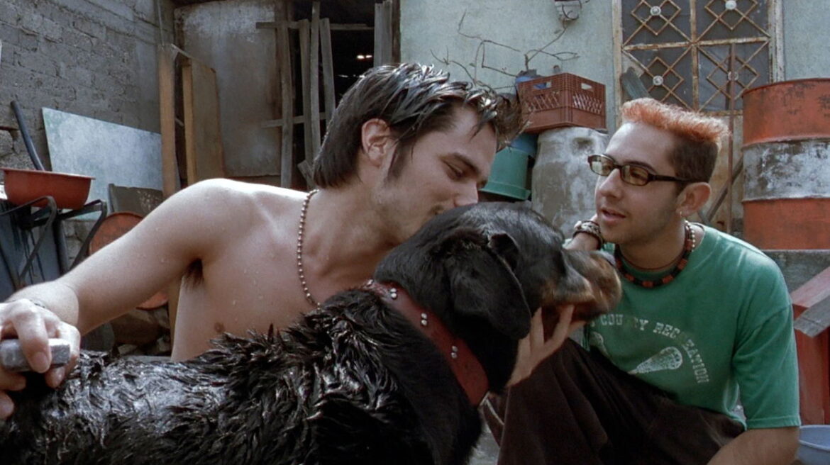 New Trailer for Iñárritu's 'Amores Perros' 25th Anniv. 4K Re-Release