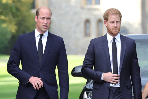 Prince Harry and Prince William to reconcile 'in the not-too-distant future'