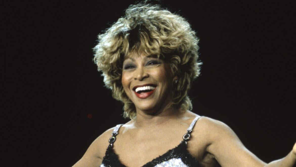 Whew! Tina Turner Statue Unveiling In Brownsville, Tennessee Has Internet Users Raising Their Eyebrows (VIDEO)