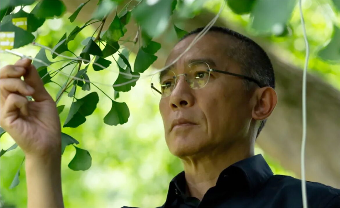 Venice 2025: Ildikó Enyedi's Film 'Silent Friend' is Tree-Loving Bliss