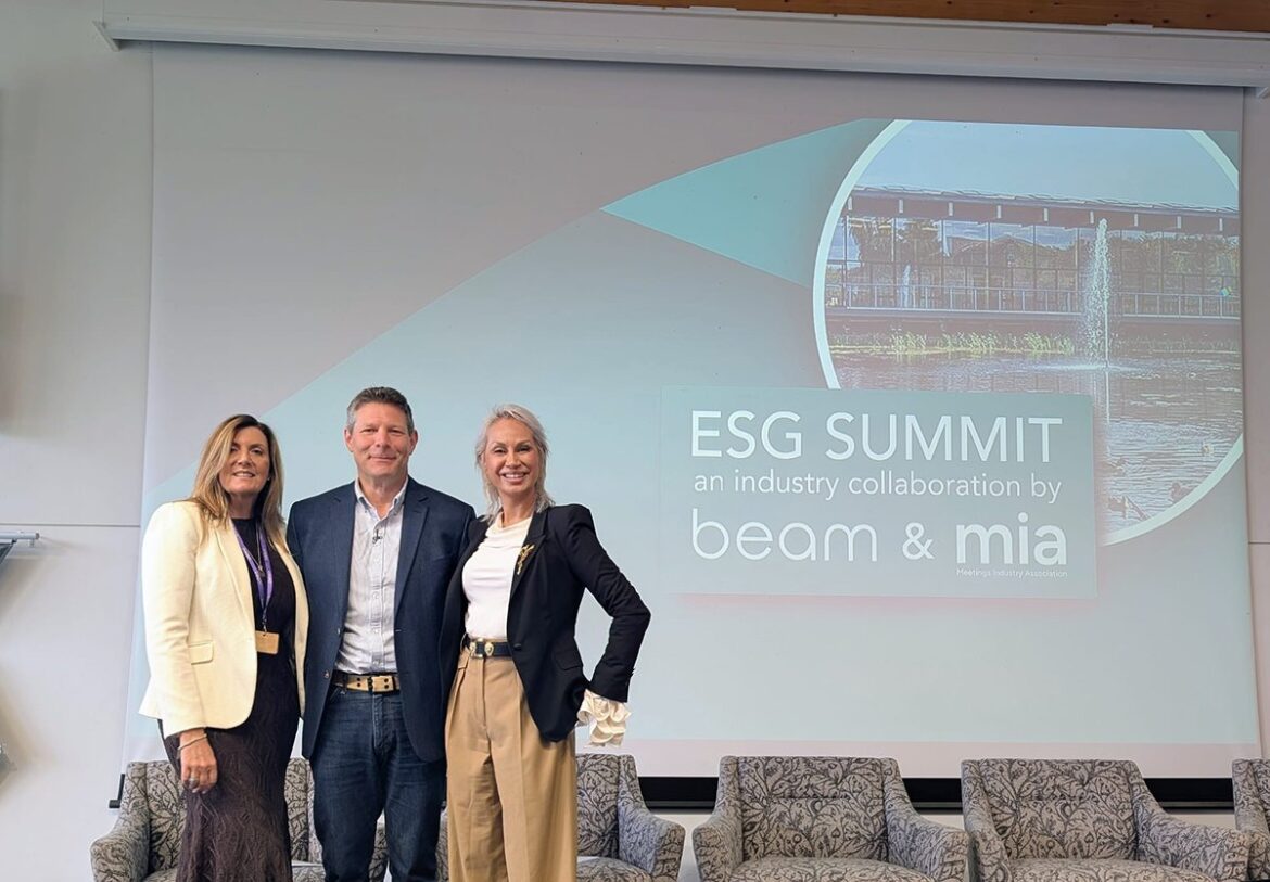 600px (w) x 500px (h)