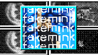 fakemink Deserves the Hype | Pitchfork