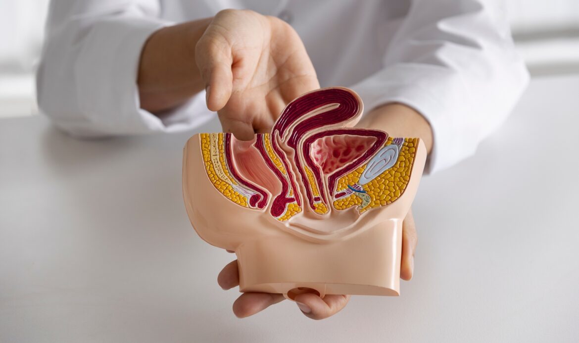 AIIMS-trained gastroenterologist shares 10 foods that can quietly protect you from colon cancer: Oats, nuts, and seeds