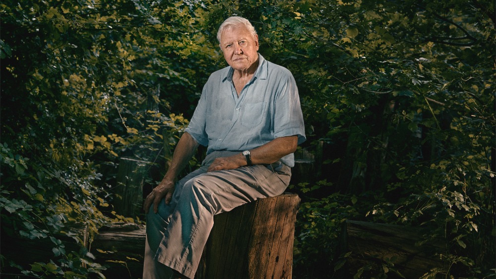 David-Attenborough