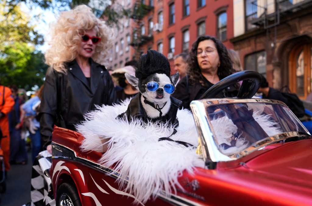 Easy Last-Minute Halloween Costumes Under $50: Amazon, Walmart & More