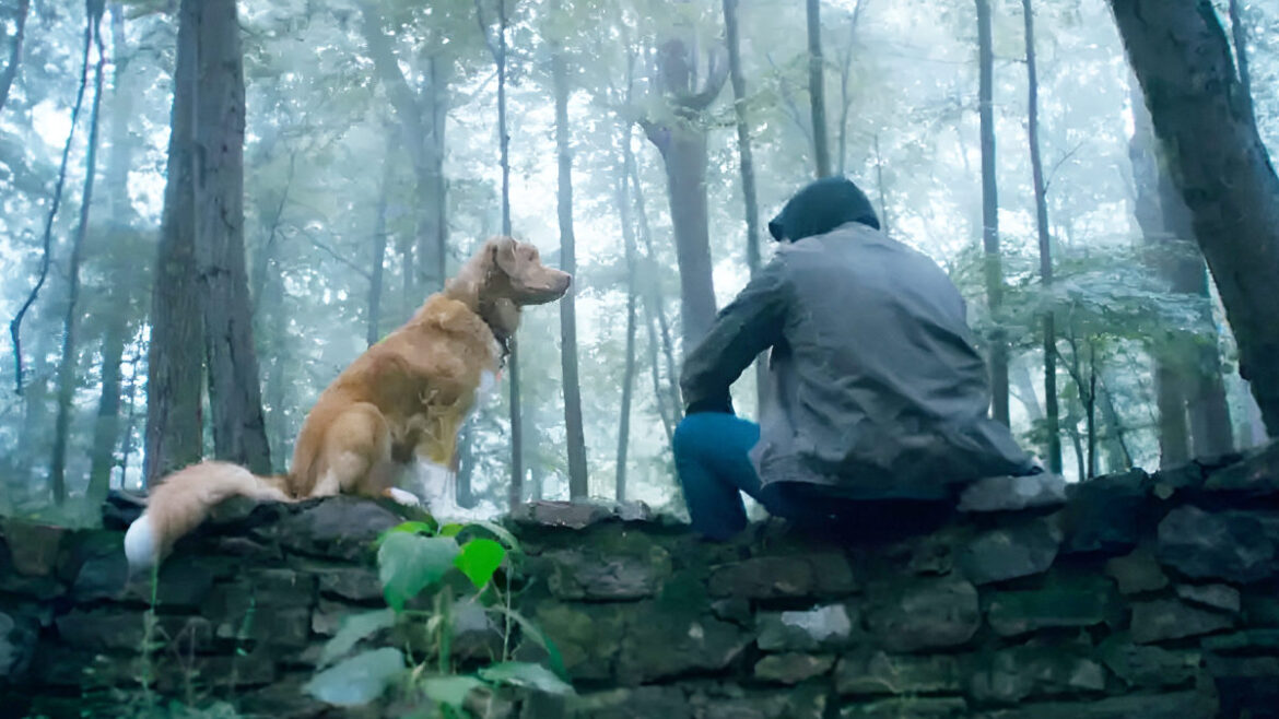 Good Boy (2025) – Upcoming Paranormal Thriller | Glamsham.com