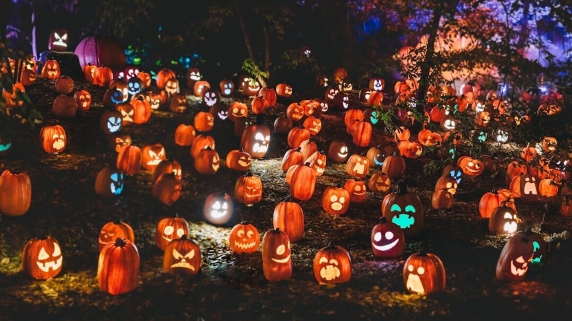 Halloween 2025: When is Halloween? Why is it celebrated? Know history and significance of spooky festival in US, Canada