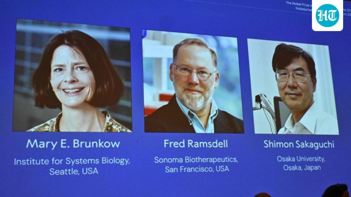 How Nobel laureates uncovered the body’s immune watchdogs