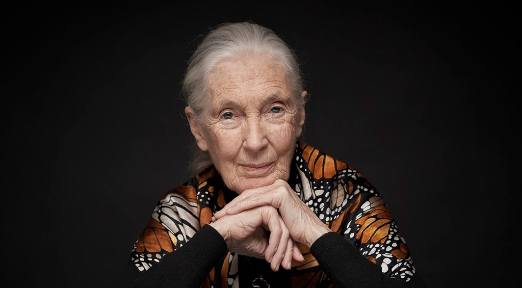 Jane Goodall's Cause Of Death Revealed