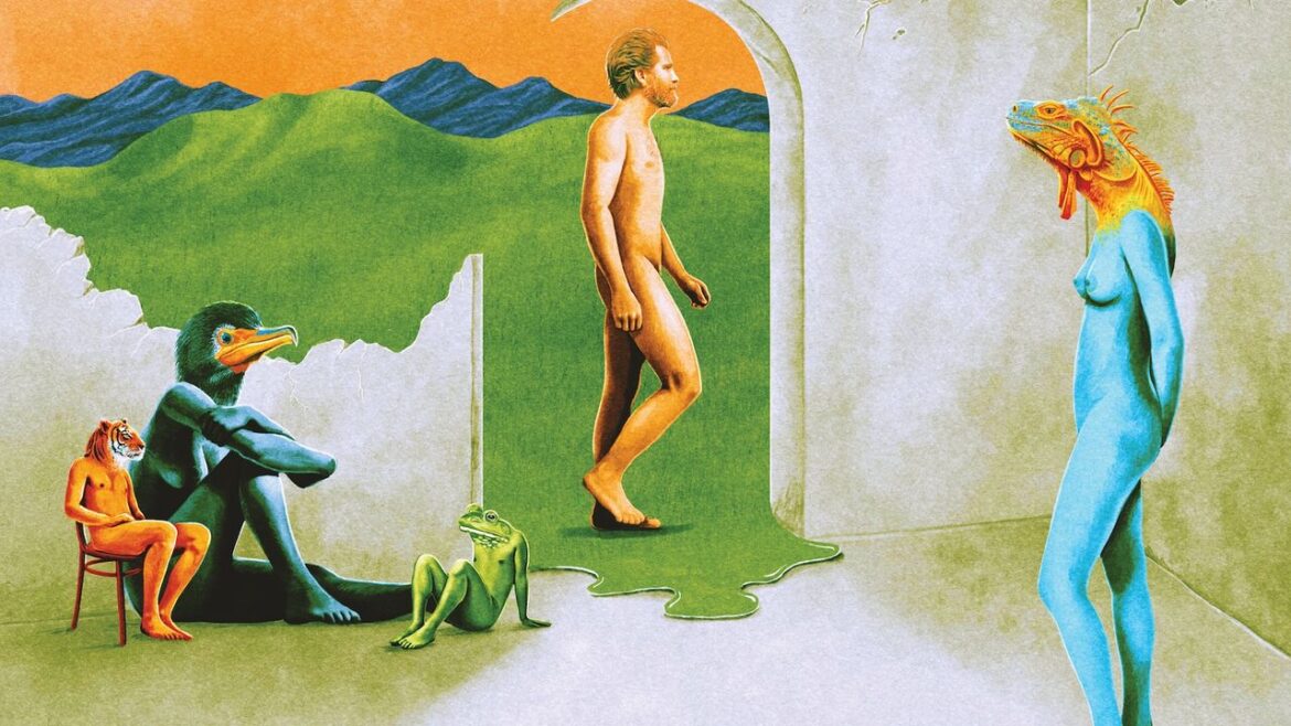 Joe Westerlund: Curiosities From the Shift Album Review