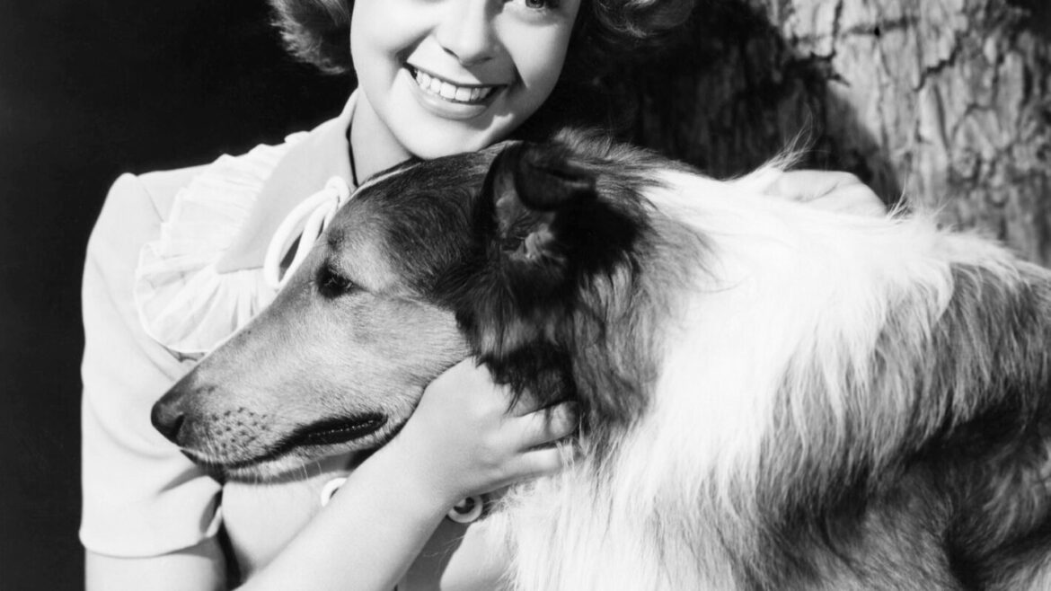 June Lockhart in 