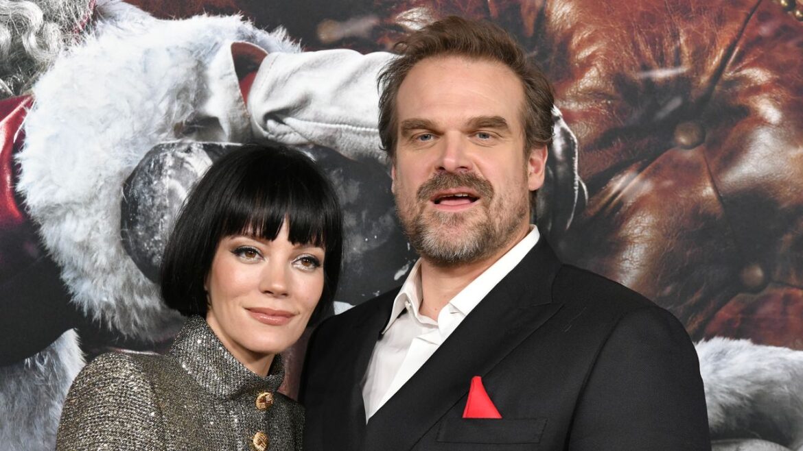 Lily Allen and David Harbour: A Complete Breakup Timeline