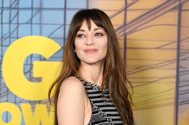 Marion Cotillard on Gaspar Noe, 'The Ice Tower,' and Its Hardest Scene