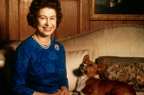 Prue Leith remembers Queen Elizabeth's pride at inventing dorgi after royal pets hook-up