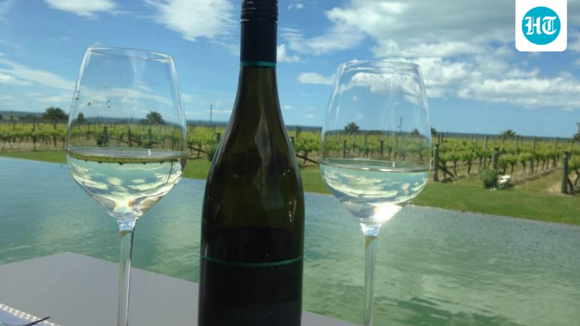 Stop searching for 'Wine Tours Near Me': Here are India's top 5 vineyard destinations