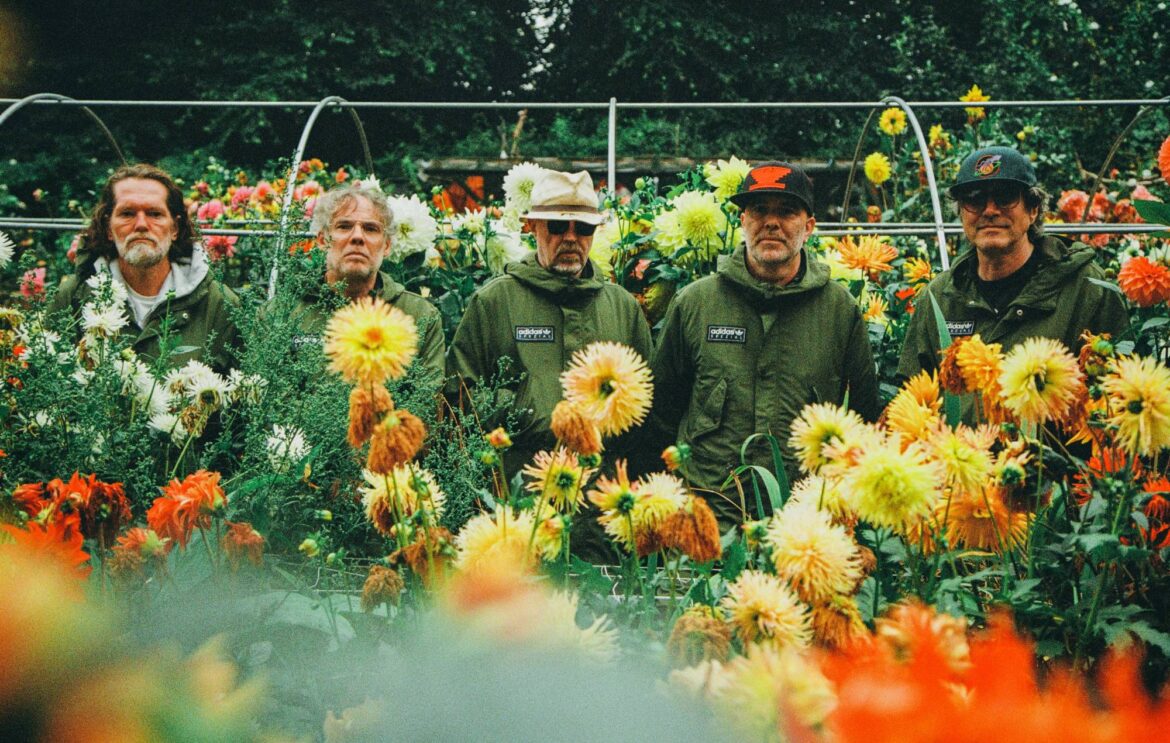 Super Furry Animals reveal why they turned down Oasis and U2 support slots in first interview in almost a decade