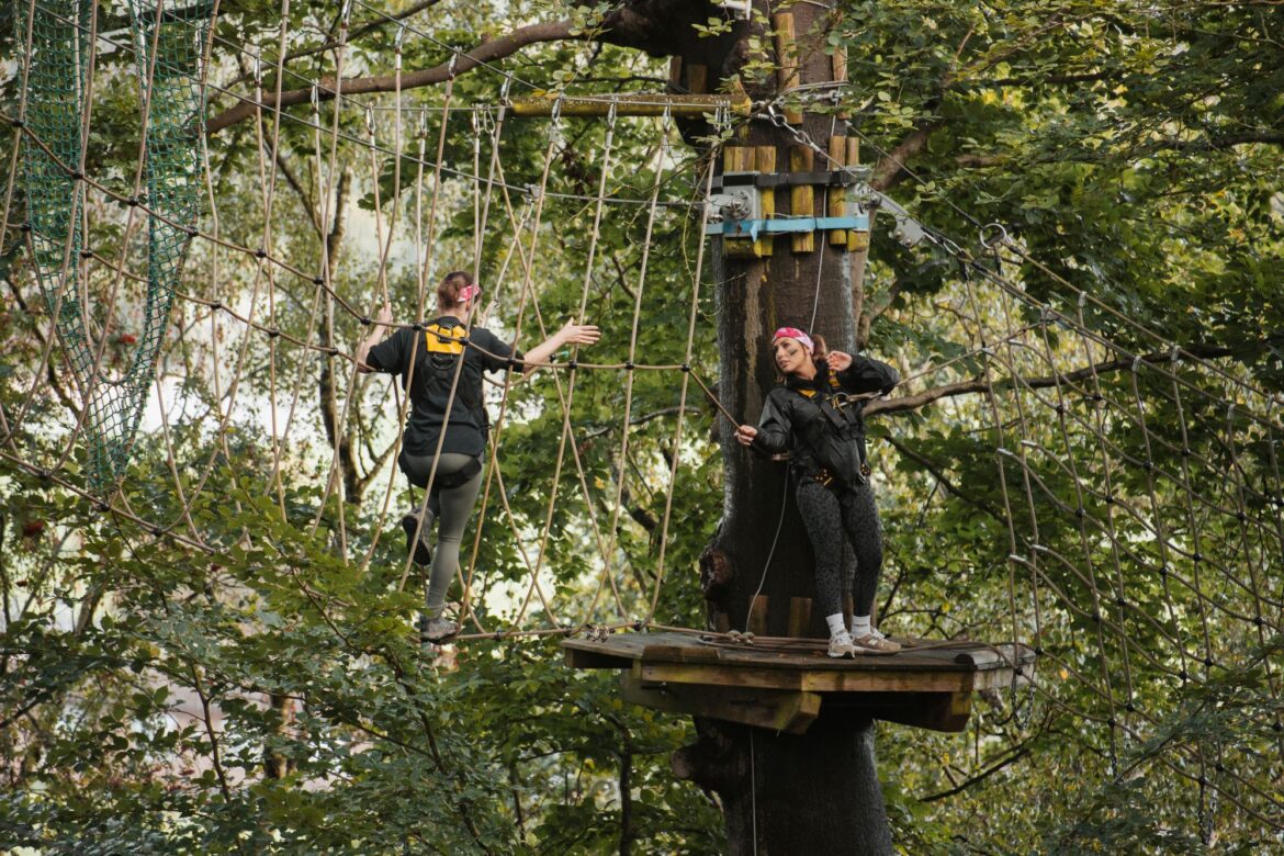 600px (w) x 500px (h)