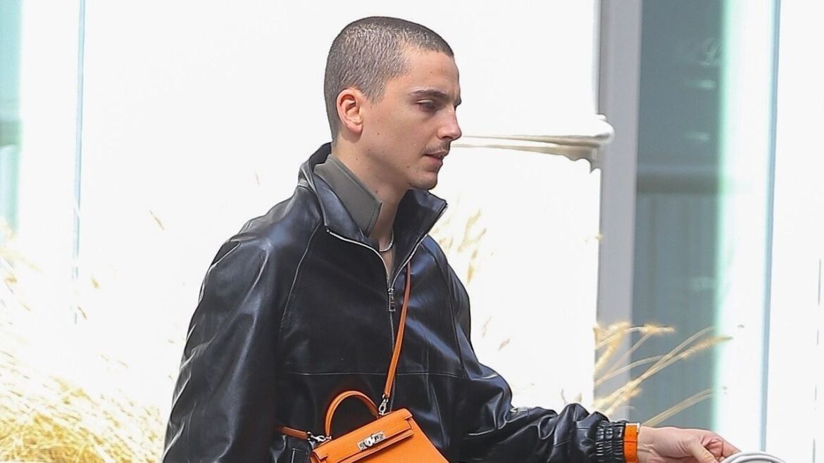 Timothée Chalamet Rocks a Mini Purse in New York