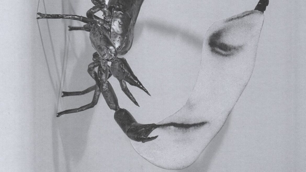 Tortoise: Touch Album Review | Pitchfork