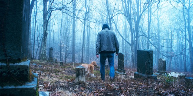 What's Next for the Scariest Brand in the Business?