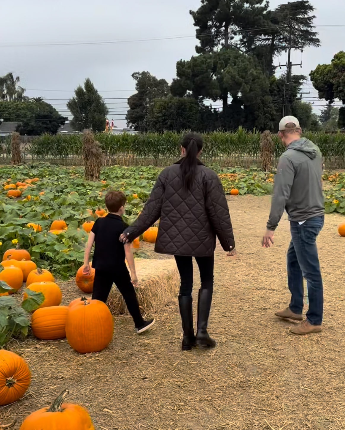 bitchy | Prince Harry & Meghan took their kids to the pumpkin patch & carved pumpkins