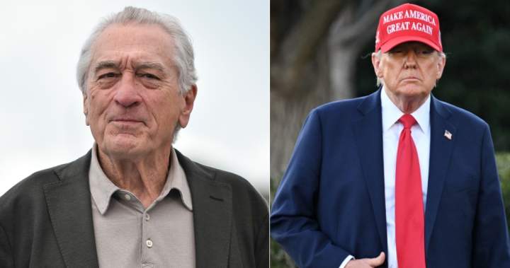 ‘All in this together’: Robert De Niro calls on Americans to protest - National