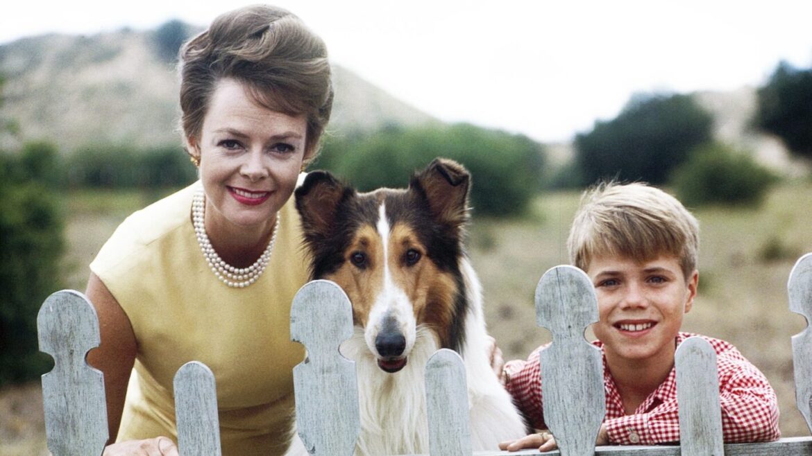 LASSIE, from left: June Lockhart, Lassie, Jon Provost, (1963), 1954-1974.