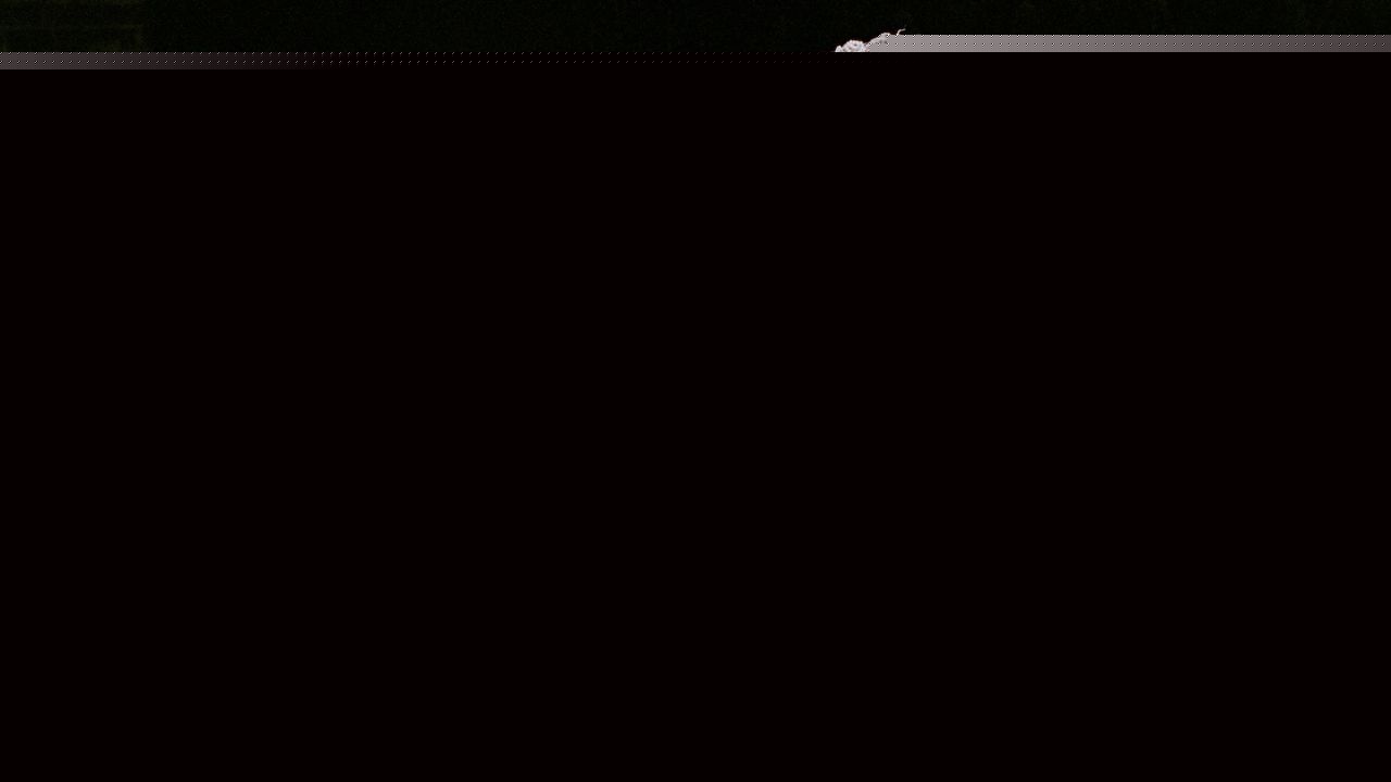 Listen to Paramore’s Hayley Williams’ New Song “Showbiz”